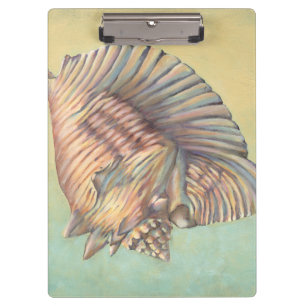 Große Tritonshorn-PastellMuschel Klemmbrett