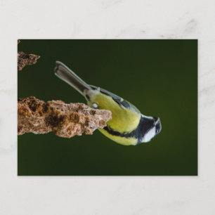 Große Tüte im Herbst Postkarte