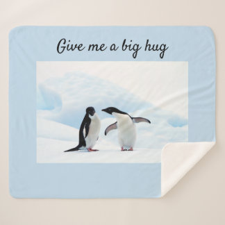 Große Umarmung Pinguin auf Eis-Foto mit Text Sherpadecke