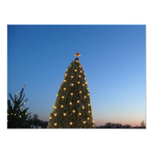 Große und kleine Weihnachtsbäume I Holiday Sunset Fotodruck