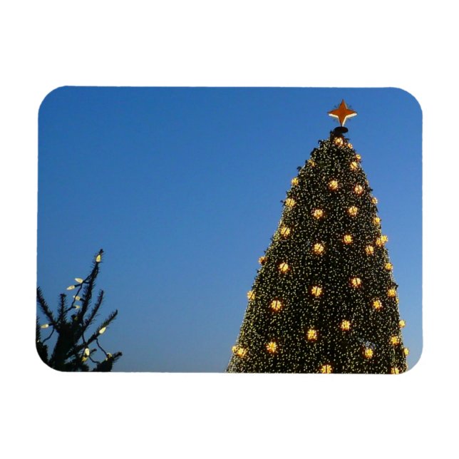 Große und kleine Weihnachtsbäume I Holiday Sunset Magnet (Horizontal)