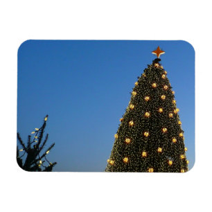 Große und kleine Weihnachtsbäume I Magnet