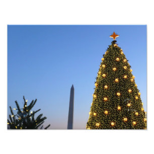 Große und kleine Weihnachtsbäume II Urlaub in DC Fotodruck