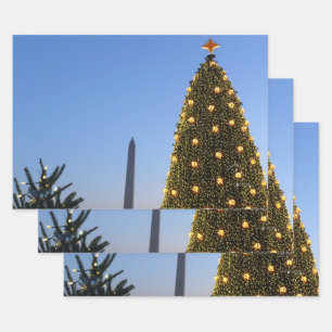 Große und kleine Weihnachtsbäume II Urlaub in DC Geschenkpapier Set