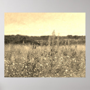 Große Vintage-Botanik-Goldfeld-Blumen-Grün Poster