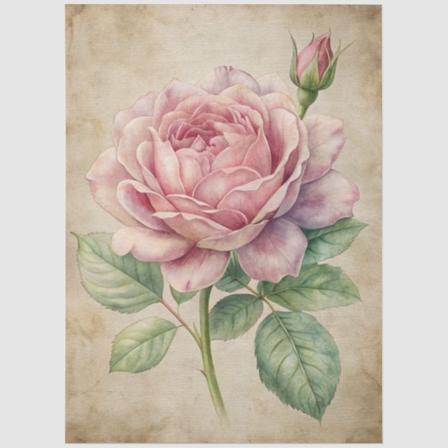 Große Vintage, Inspirierte Rosendekoupage Seidenpapier (Vorderseite)