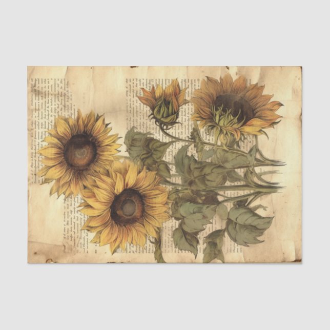 Große Vintage Sonnenblumen auf Skript Seidenpapier (Vorderseite)