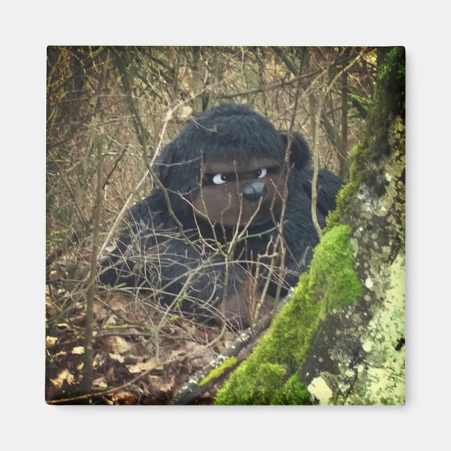 Große Wälder Magnet (Vorne)