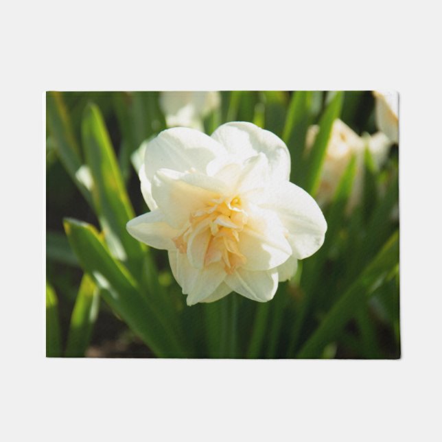 Große weiße Narzissen an einem Frühlingstag Fußmatte (Vorderseite)