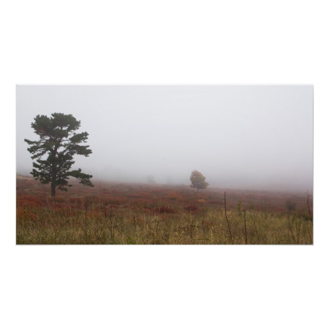 Große Wiesen im Herbst, Virginia Fotodruck (Vorne)