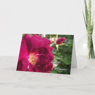 Großeltern-Tag für Oma, Rote Rose und Knospe Karte