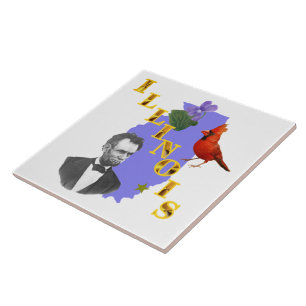 Größen Illinois-Fliese (2) Fliese