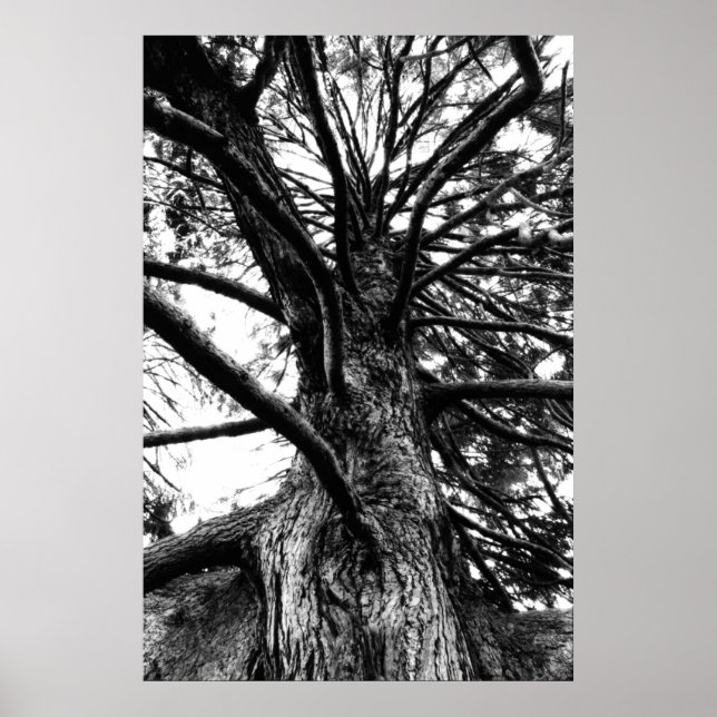 größer als du denkst poster (Vorne)