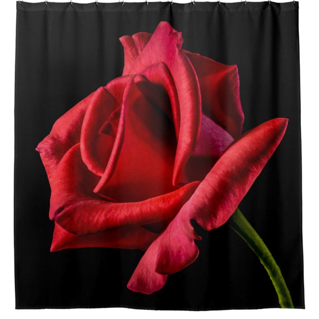 Großer aufgehaltener Rosen-Duschvorhang Duschvorhang (Vorderseite)