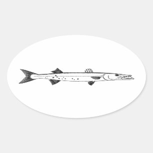 Großer Barracuda-Logo Ovaler Aufkleber