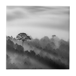 Großer Baum im Kiefern-Wald im Nebel Fliese