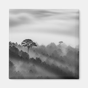 Großer Baum im Kiefern-Wald im Nebel Magnet