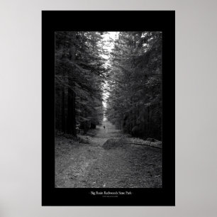 Großer Becken-Rotholz-Staats-Park Poster