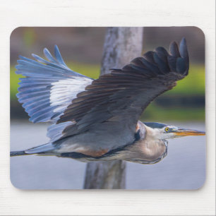 Großer-Blau-Reiher-Flug-Wildtier-Vogel-Fotografie Mousepad