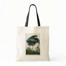 Großer Blauheron, John James Audubon