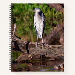 Großer Blaureiher auf Baumstamm Foto Notizbuch Jou
