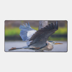 Großer Blaureiher Flug Wildtier Vogel Fotografie Schreibtischunterlage