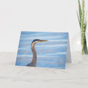 Großer Blaureiher-Wildtier-Vogel-Fotografie leer Feiertagskarte
