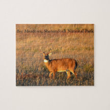 Großer Bock, Big Meadows, Shenandoah-Nationalpark