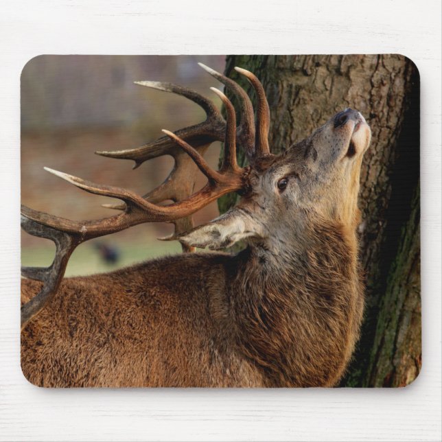 Großer Bock Mousepad (Vorne)