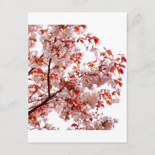 GROSSER BOUQUET VON BLUMEN POSTKARTE