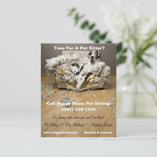 Großer Dan auf Kauen Sofa Haustier Sitzen Flyer 4x (Stehend Vorderseite)