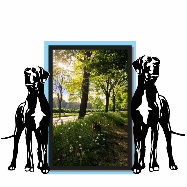 Großer Dane-Foto Freistehende Fotoskulptur (Vorne)