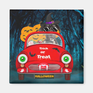 Großer Däne Hund fährt Auto Gruseliges Halloween Magnet