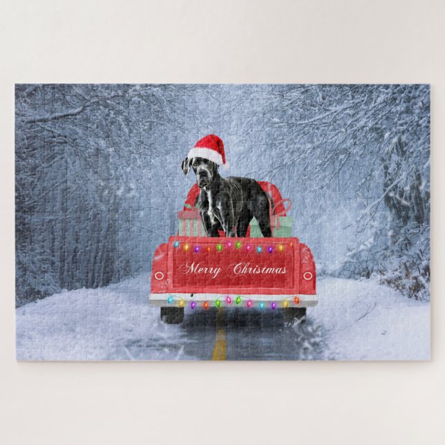 Großer Däne Hund im Schnee sitzend im Weihnachtswa (Horizontal)