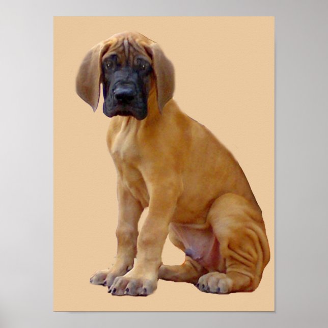 Großer Dane King of Hogs Print Poster (Vorne)