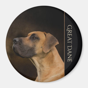Großer Däne-Kühlschrankmagnet Magnet
