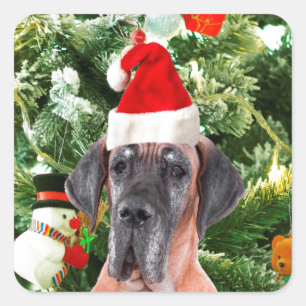 Großer Däne mit Weihnachtsbaum-Geschenkboxen und S Quadratischer Aufkleber