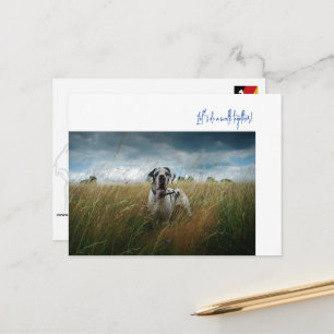 Großer Däne Spaziergang-Einladung  Postkarte