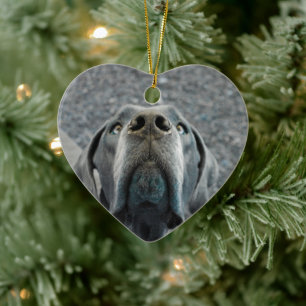 Großer Danischer Bilder Keramik Ornament