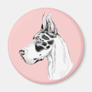 Großer Dänischer Harlekin Weiblich Magnet