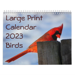 Großer Druckkalender 2023 - Vögel Kalender