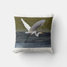 Großer Egret