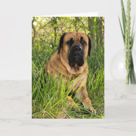 Großer englischer Mastiff-Hund - Karte
