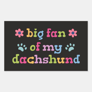 Großer Fan meiner Dachshund Rechteckiger Aufkleber