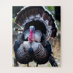 Grosser festlicher Erntedank Türkei