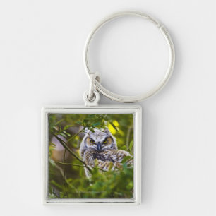 Großer gehörnter Owlet Schlüsselanhänger