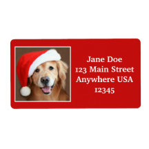 Großer Goldener Retriever mit Weihnachtsmannmütze