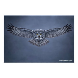 Großer Grau-Uhu-Flügelspannweite-Wildlife-Kunst-Dr Fotodruck