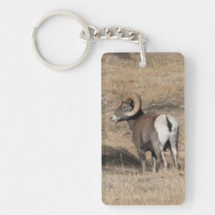 Großer Horn-RAM-Acryl-Schlüsselanhänger Schlüsselanhänger