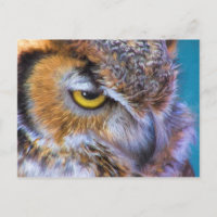 Großer Horned Owl Bird Goldenes Auge